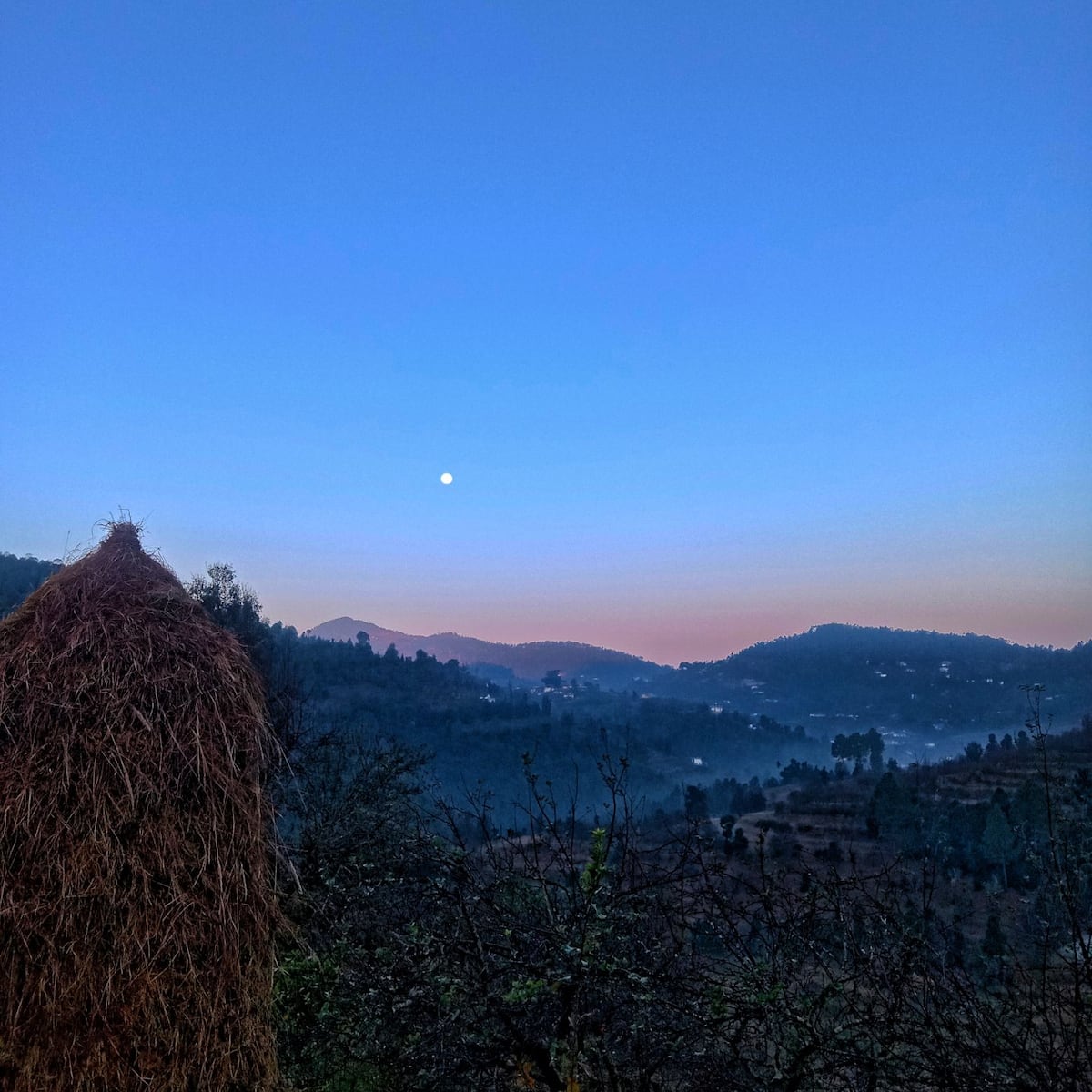 View from veranda and ranch grounds